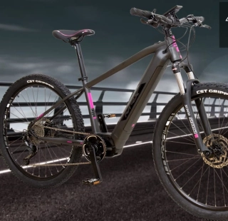 E-bike MRX 29" 1x9 Disc