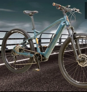 E-bike MRX 29" 1x9 Disc XCR AIR